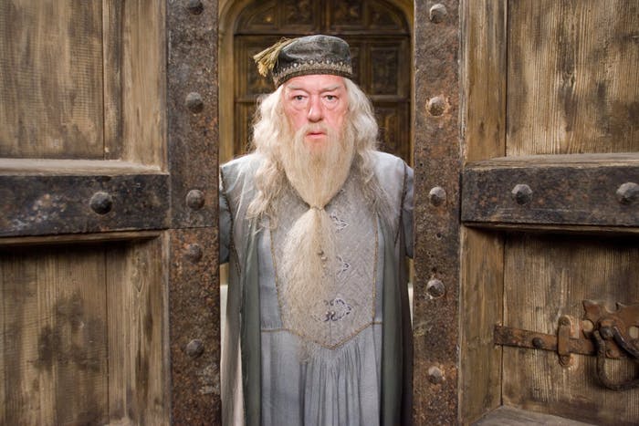 dumbledore-seen-here-opening-the-doors-of-the-closet-hes-trapped-in-probably