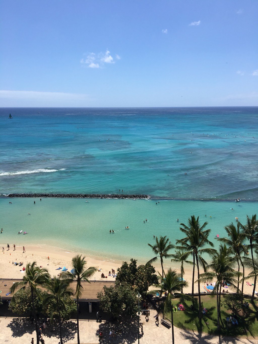 Simone and Her Books Travel to&nbsp;Hawaii
