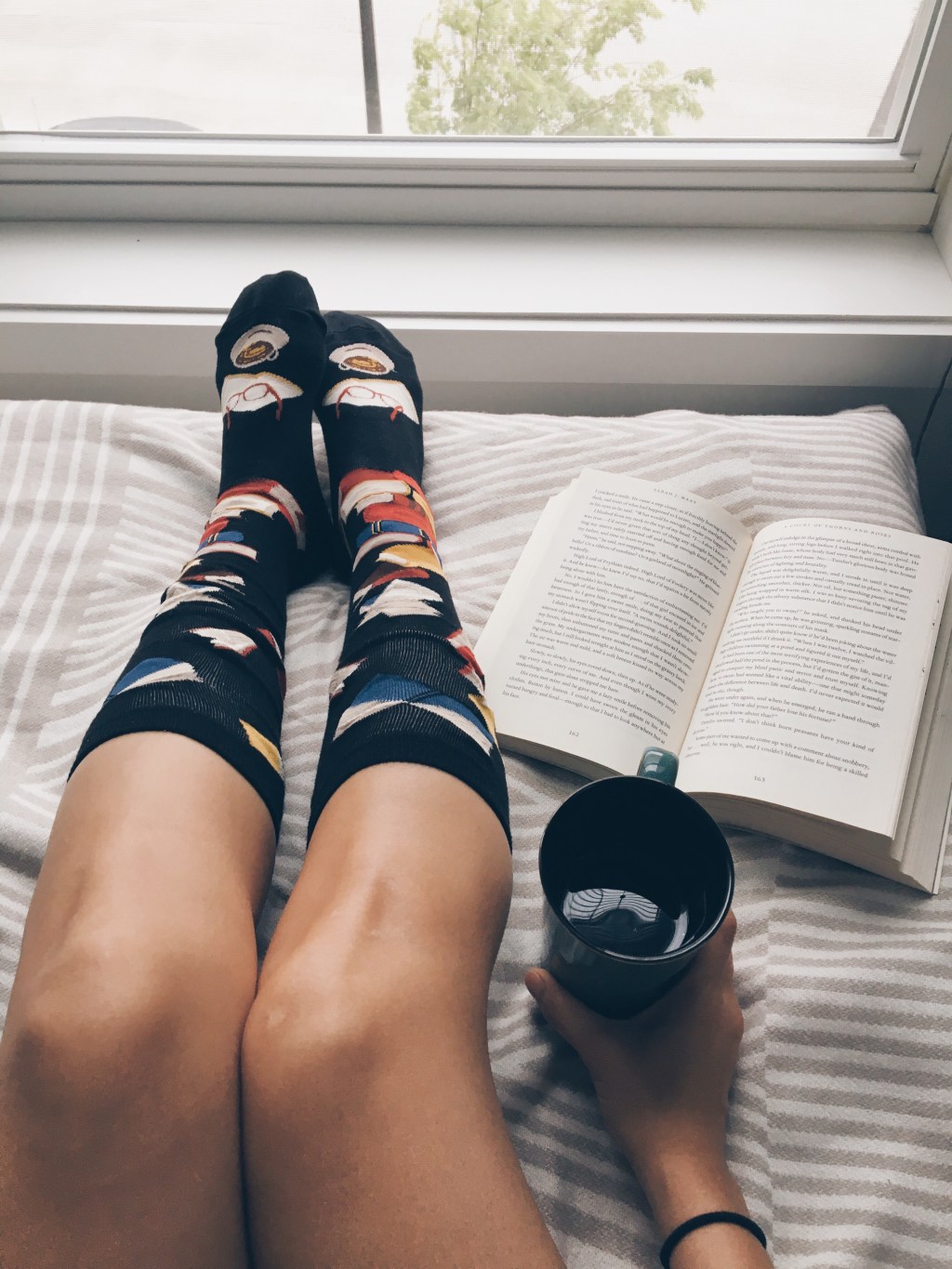 The Pisces by Melissa&nbsp;Broder