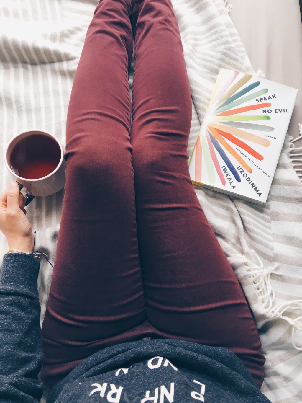 Speak No Evil by Uzodinma Iweala