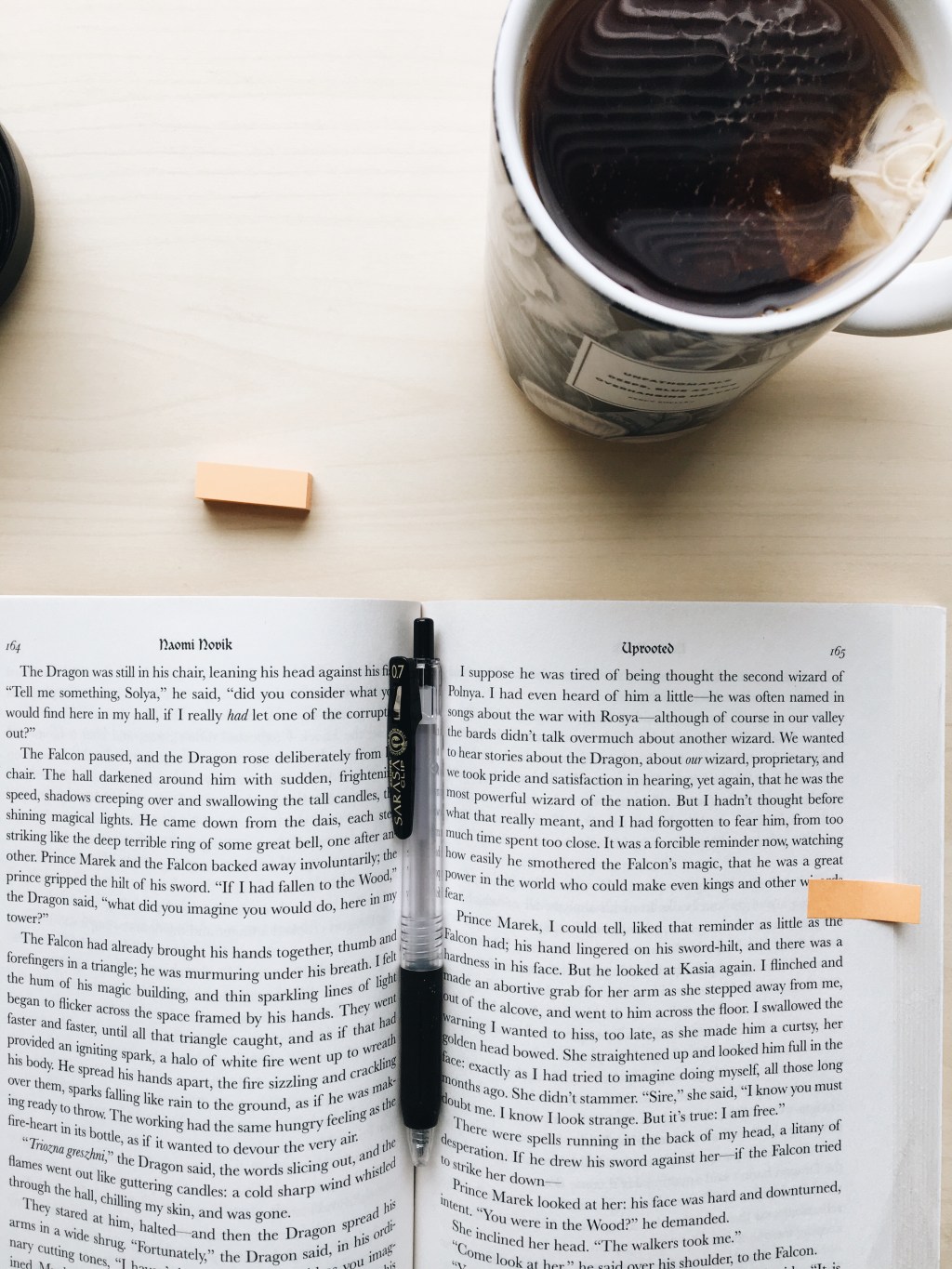 What’s Your Choice? Loving or Hating a&nbsp;Book