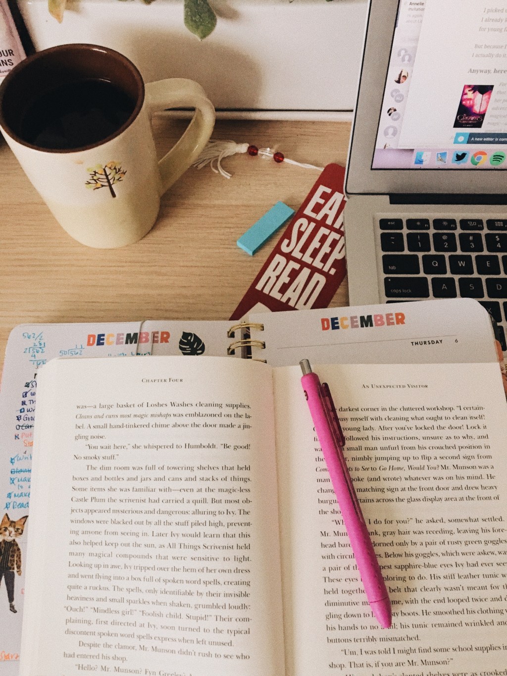 What I’m Reading Wednesdays – The Crowns of Croswald by DE Night