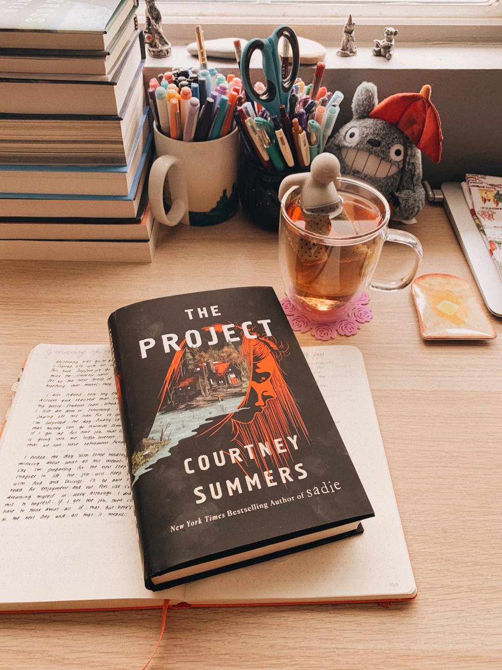The Project by Courtney Summers // Book&nbsp;Review